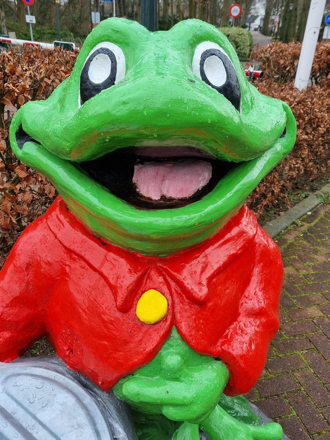 Groene kikker Duinrell